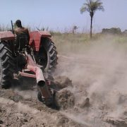 Dry Season irrigation scheme in Sierra Leone